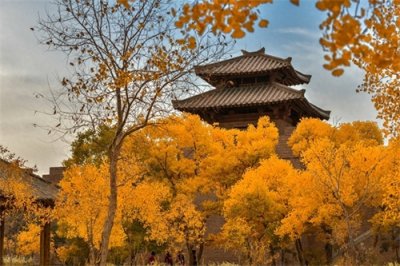 ​【学习资料】财务人常用计算公式详解